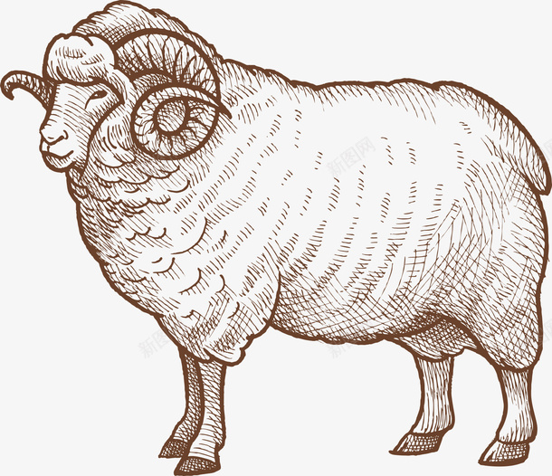 羊图标一只羊透明背景png免抠素材_88icon https://88icon.com 一只羊 线稿 羊 透明