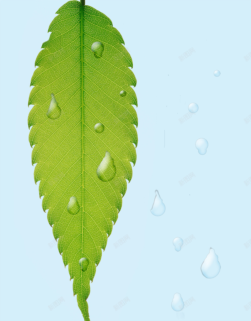 现代清新淡雅化妆品美妆节妇女节背景psd设计背景_88icon https://88icon.com 化妆品 妇女节 彩妆 护发 护肤 护肤品 护肤精华 清爽 美妆节 美容 美白 背景 花卉 调理皮肤