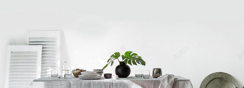 静物背景图jpg设计背景_88icon https://88icon.com 静物 植物 白色 海报banner 摄影 风景