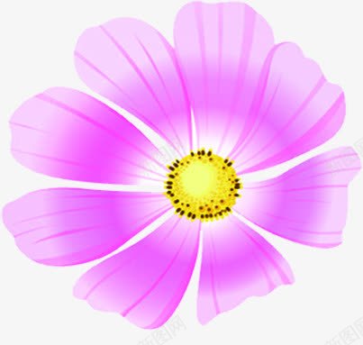 花朵海报植物卡通效果png免抠素材_88icon https://88icon.com 卡通 效果 植物 海报 花朵