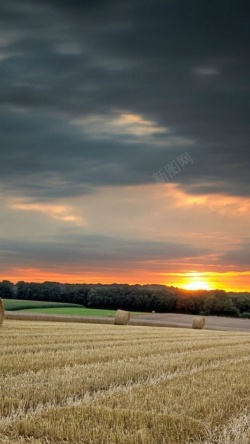 麦场风景蓝天红云麦场H5背景素材高清图片