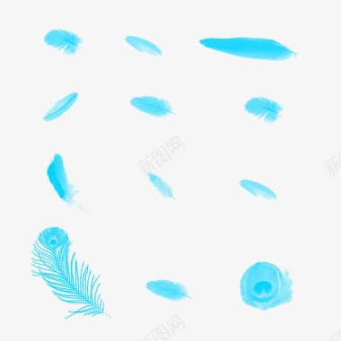 各种形状和符号多种形状羽毛图标图标
