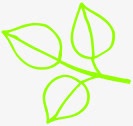 绿色简约手绘植物树叶素材