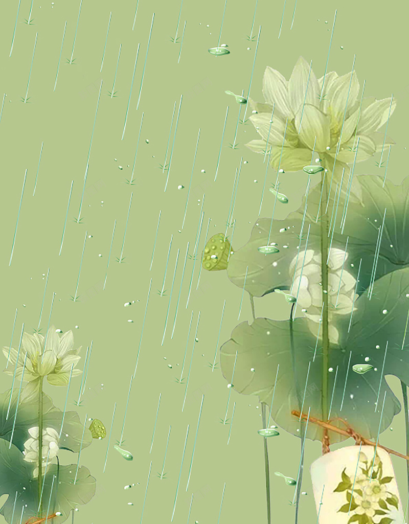 荷花雨水背景素材jpg设计背景_88icon https://88icon.com 雨水 24节气 荷花 唯美 绿色 水滴 雨点 下雨 荷叶