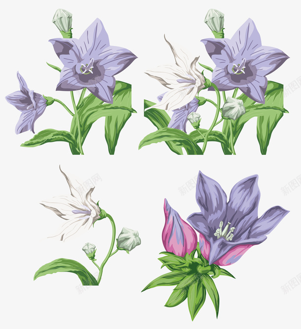 牵牛花手绘卡通画png免抠素材_88icon https://88icon.com 卡通 手绘 牵牛花 画