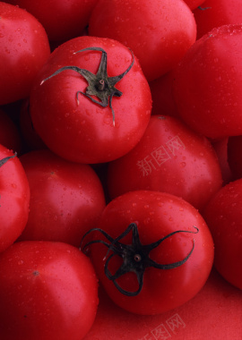 时鲜蔬果西红柿背景素材背景
