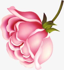 海报效果植物玫瑰花效果素材