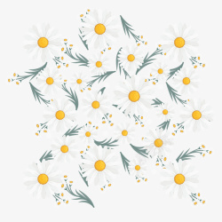 花朵装饰底纹菊花元素矢量图素材