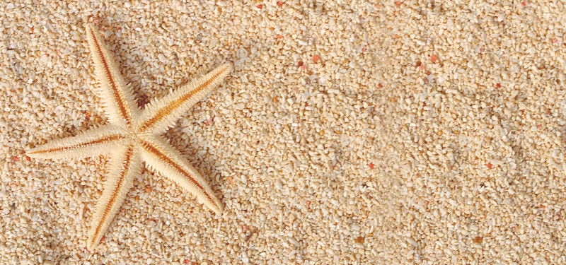 清新文艺沙滩海星spa风景背景背景