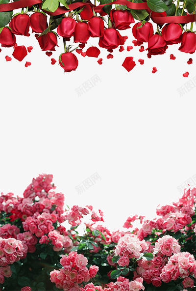 红色玫瑰花粉色花簇装饰背景psd免抠素材_88icon https://88icon.com 粉色花簇 红色玫瑰 花元素 花多背景