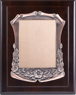 浮雕铜牌浮雕奖牌素材