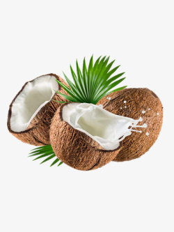 水果热带椰子椰子高清图片