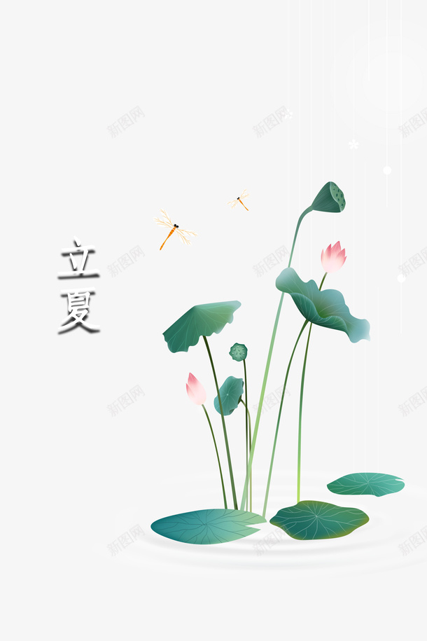 立夏莲花蜻蜓二十四节气psd免抠素材_88icon https://88icon.com 二十四节气 立夏 莲花 蜻蜓