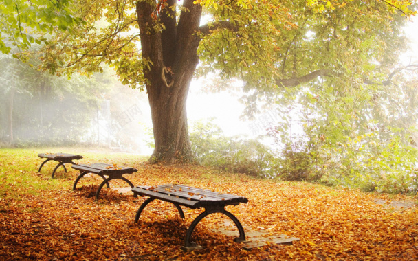 公园一角深秋背景素材背景