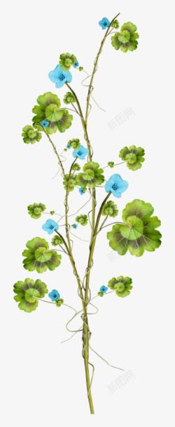 蓝色花朵缠绕绿色树叶素材