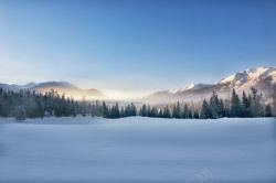 晨雾喀纳斯雪山晨雾高清图片