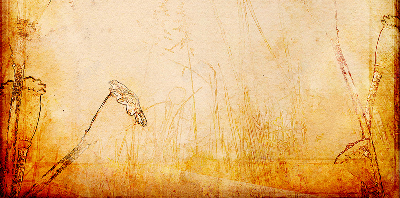 复古牛皮纸质感纹理褐色背景素材jpg设计背景_88icon https://88icon.com 牛皮纸 复古 纹理 褐色 质感 背景 素材 花朵