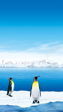 冰山企鹅H5背景背景
