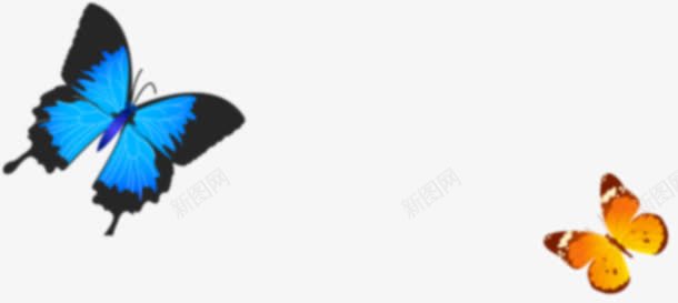蓝色纹理纹理蝴蝶装饰png免抠素材_88icon https://88icon.com 纹理 蓝色 蝴蝶 装饰