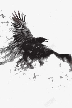乌鸦飞过中国风水墨乌鸦高清图片