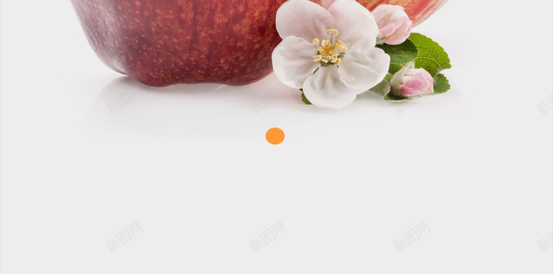 商务水果果园H5背景psd设计背景_88icon https://88icon.com 商务 果园 果汁 水果 水果俯拍 水果俯视 水果拼盘 水果沙拉 红色 苹果
