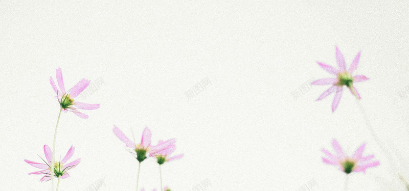日系清新文艺淡色花朵背景背景