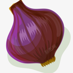 紫色洋葱插画矢量图素材