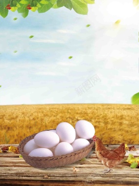 创意美食柴鸡蛋海报背景模板背景