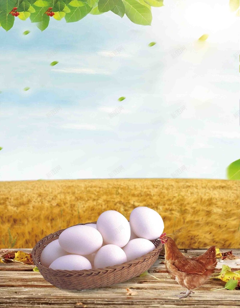 创意美食柴鸡蛋海报背景模板psd设计背景_88icon https://88icon.com 背景模板 健康 创意 海报 美食 柴鸡蛋 绿色 营养