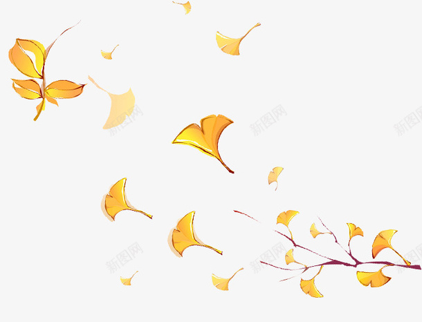 秋天的象征银杏叶png免抠素材_88icon https://88icon.com 秋天 银杏 银杏叶 黄叶
