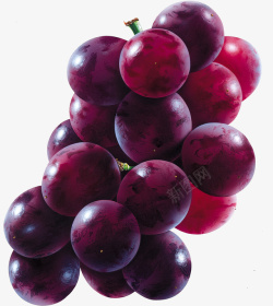 水果葡萄生态健康素材