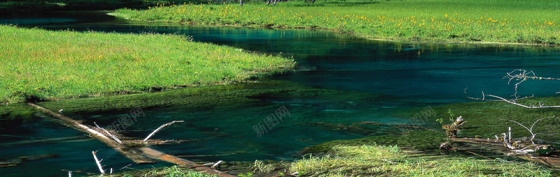 清新草原黄花河流jpg设计背景_88icon https://88icon.com 清新 草原 黄花 河流 海报banner 摄影 风景