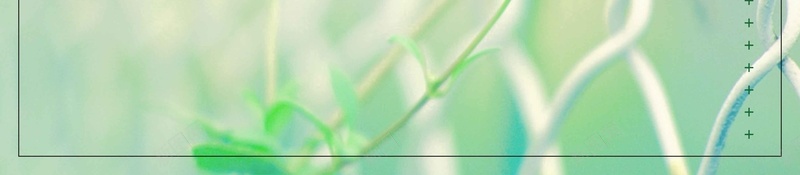 你好二月清新花卉简约背景psd设计背景_88icon https://88icon.com 你好二月 唯美 大气 文艺 清新 简约背景 绿色背景 花卉