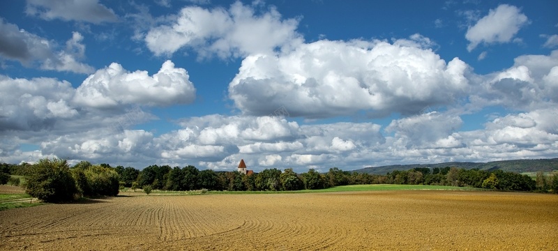 稻田树林背景jpg设计背景_88icon https://88icon.com 蓝天白云 稻田 海报banner 摄影 风景 稻田树林背景