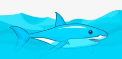 蓝色鲨鱼矢量图素材