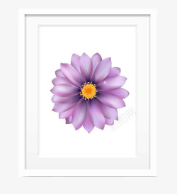 紫色花朵装饰画素材