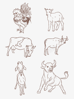 草食性动物羊动物手绘线描高清图片