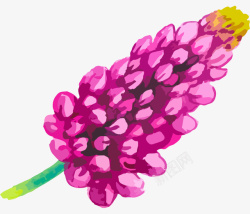 手绘水彩紫色鲜花素材