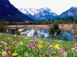 德国小镇迷人风景素材