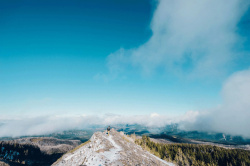 高海拔远景云海森林山石高清图片