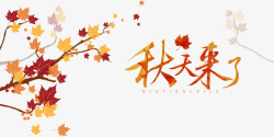 秋季秋天秋天来了树枝枫叶素材