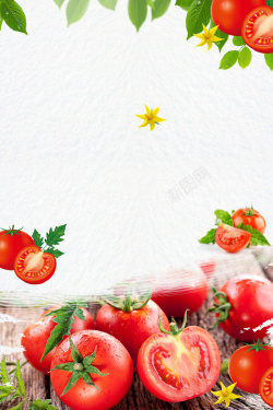 新鲜口感西红柿蔬菜促销海报高清图片