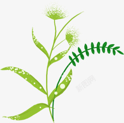 绿色大片枝叶葱花装饰植物素材