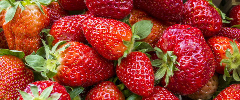 草莓背景jpg设计背景_88icon https://88icon.com 海报banner 新鲜 水果 红色 草莓 质感 纹理