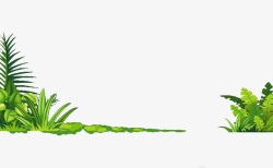蕨类植物素材绿叶蕨类植物装饰元素高清图片