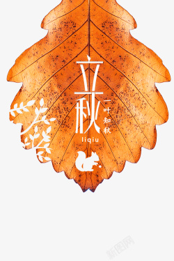 立秋节气文化秋天立秋树叶二十四节气高清图片
