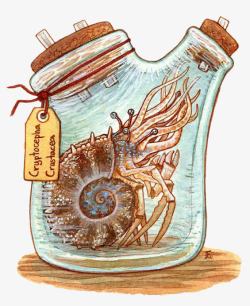玻璃罐中的虾壳生物素材