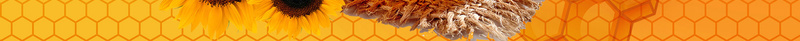 蜂蜜蜜蜂蜂巢创意商务广告背景psd设计背景_88icon https://88icon.com 创意 商务 广告 素材 背景 蜂巢 蜂蜜 蜜蜂