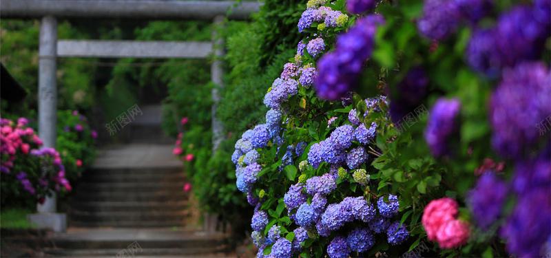 花团清新文艺背景背景