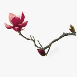 中式宣传海报装饰图案素材